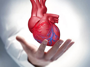 Ein menschliches Herz schwebt über einer geöffneten Hand.