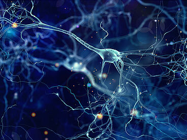 Nervenimpulse im Gehirn