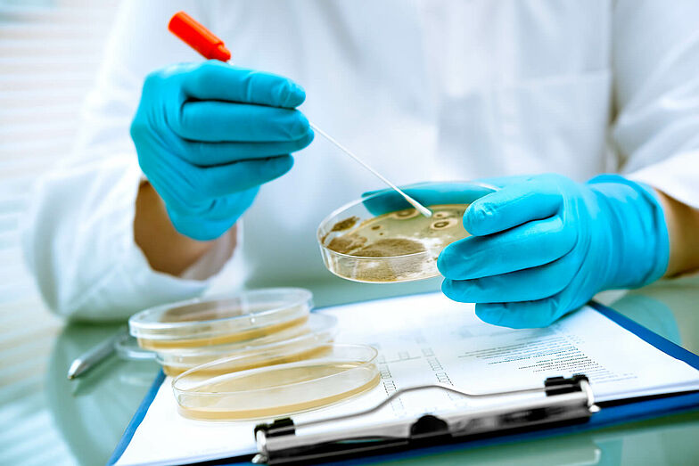Person hat eine Pipette und mehrere Petrischalen vor sich und führt einen Labortest durch.