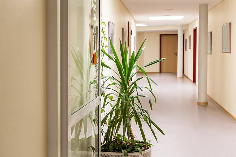 Blick in den Flur einer Rehaklinik mit Fokus auf einer Pflanze.