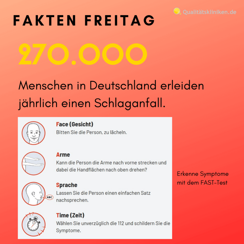 Faktenblatt zu Anzahl der Schlaganfälle in Deutschland pro Jahr: 270.000 Stück.