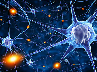 Nervenzellen: Bei Multiple Sklerose (MS) wird die Myelinschicht durch die körpereigene Abwehr angegriffen. Die elektrischen Impulse nicht mehr oder nur noch langsam weitergeleitet werden.