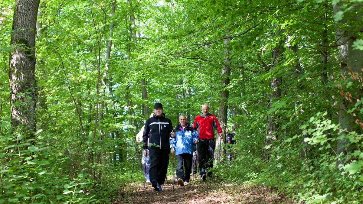Rehaklinik Ob der Tauber Nordic Walking im Wald